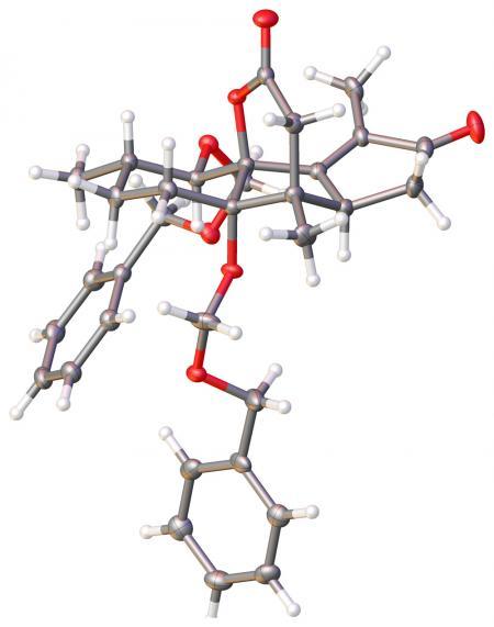 Synthesizing Ryanodol