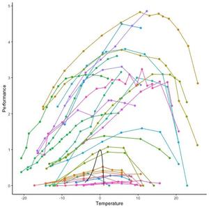 Universal Thermal Performance Curve