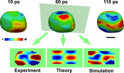 3D Images of a Gold Nanocrystal 10, 60 and 110 Picoseconds after Excitation with a Laser