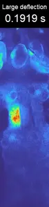 Video 2: Strong-deflection response in the sensory hair