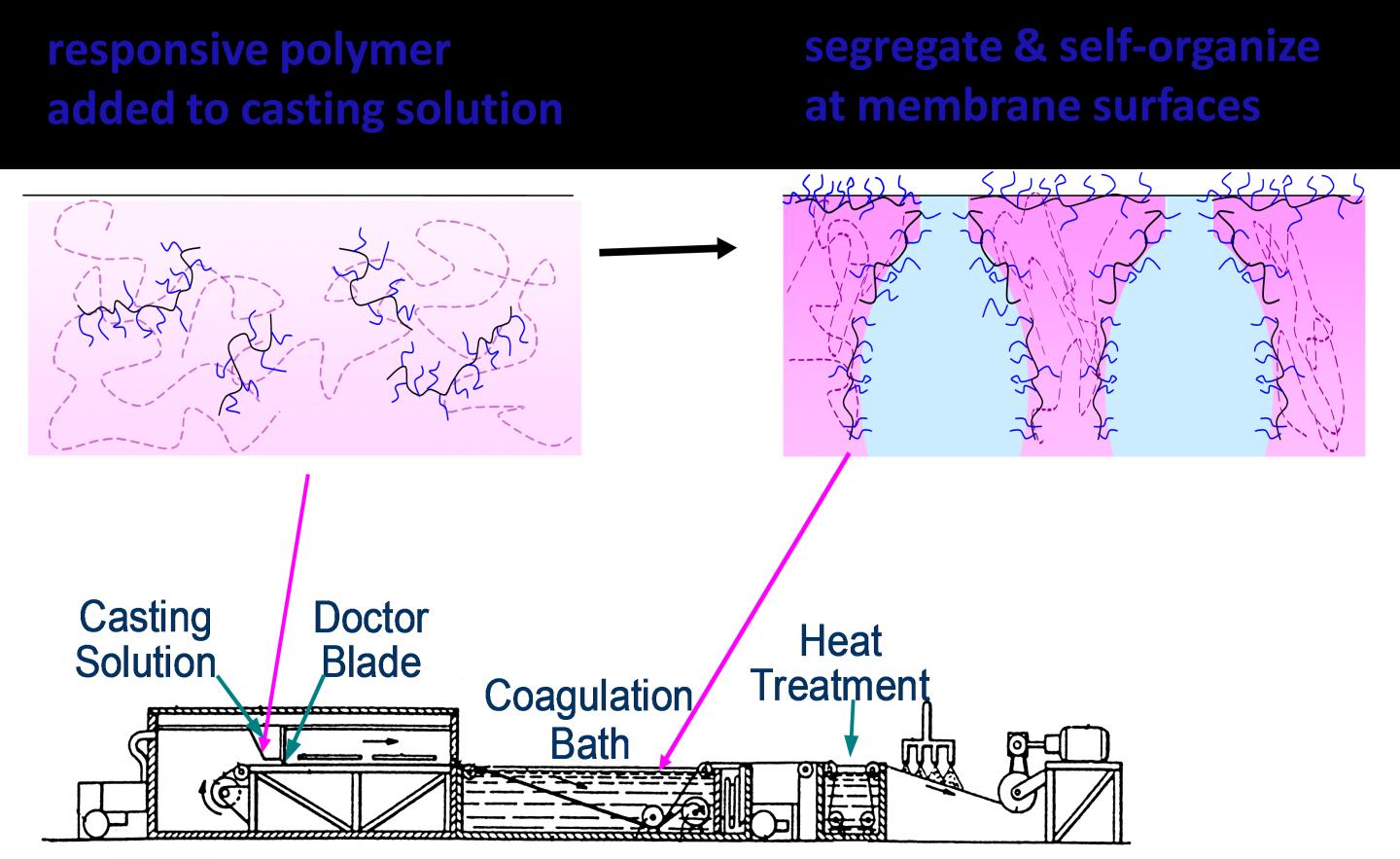 Schematic Description