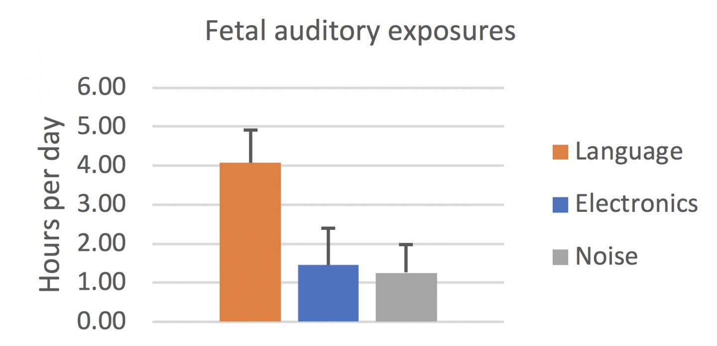 Average Daily Language, Electronic Sounds and Noise Exposure for Fetuses in Utero