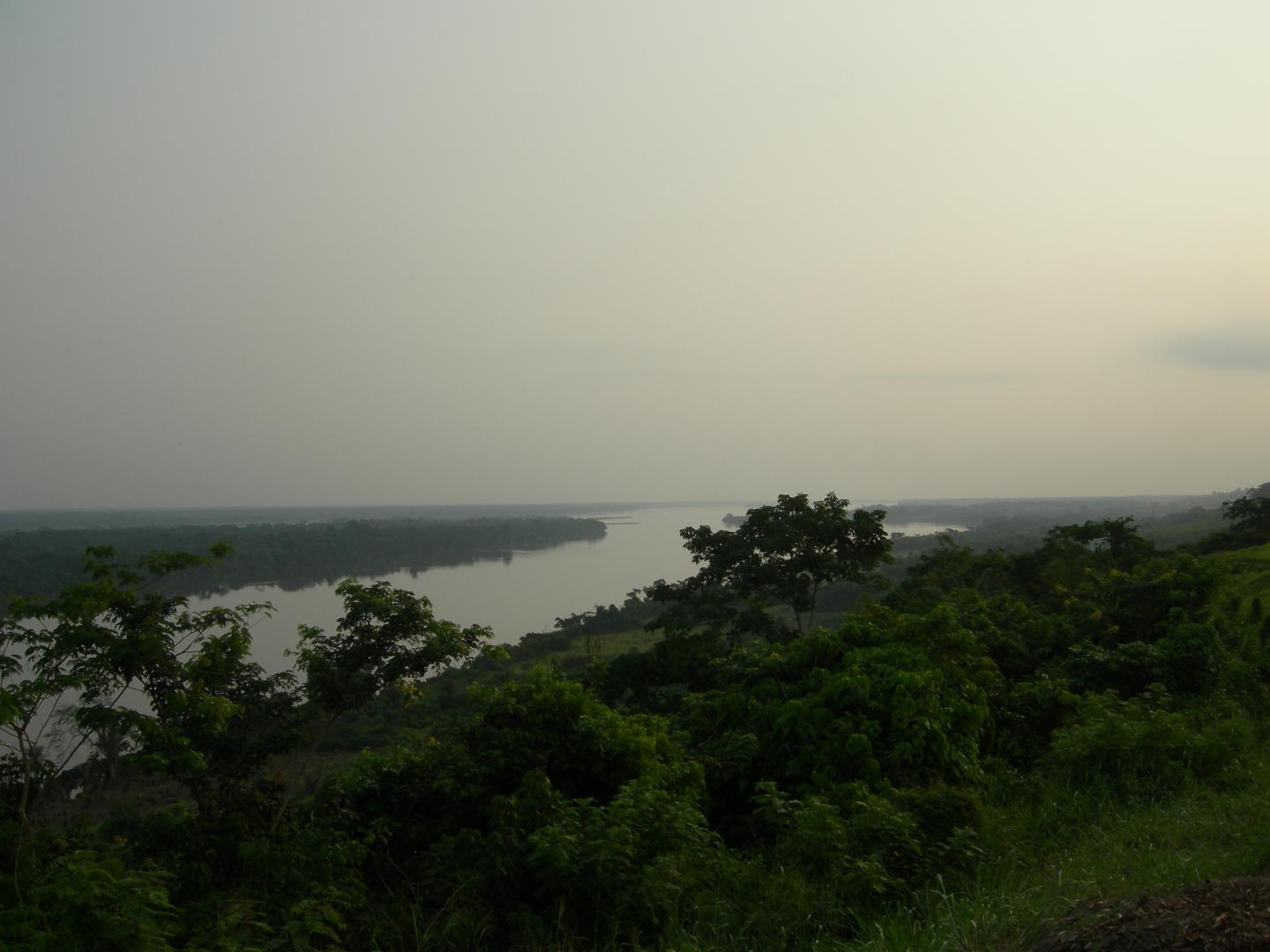 Do Rainforest Conservation Strategies Optimize Both Carbon Storage and Biodiversity? (10 of 12)