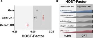 Harmonic Output of Stromal Traits Factor (HOST-Factor), a composite score integrating multiple function-informing stromal biomarkers.