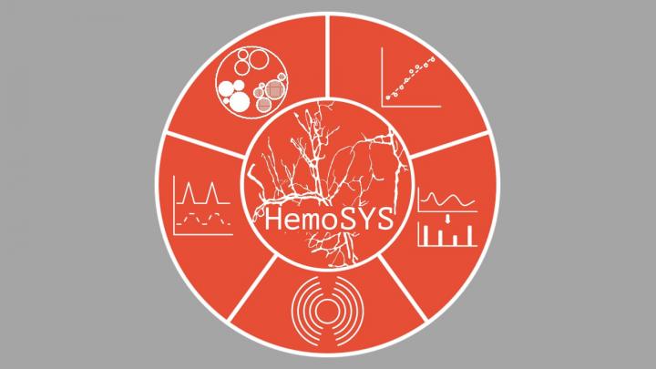 HemoSYS