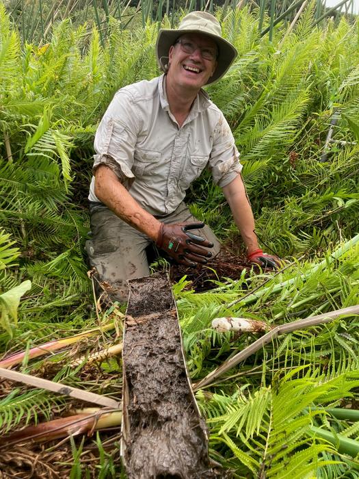 Prof David Sear