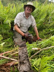 Prof David Sear