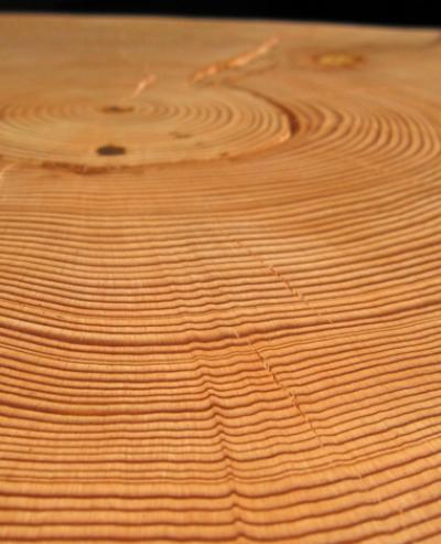 Tree Rings