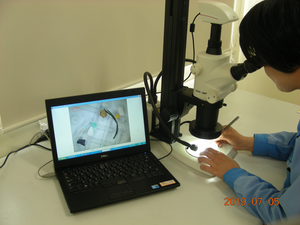 Microplastic sampling
