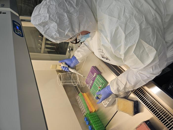 Laboratory technician and one of the authors in the contamination-controlled ancient DNA laboratory at the University of Tartu extracting tiny amounts of DNA from centuries-old skeletons.