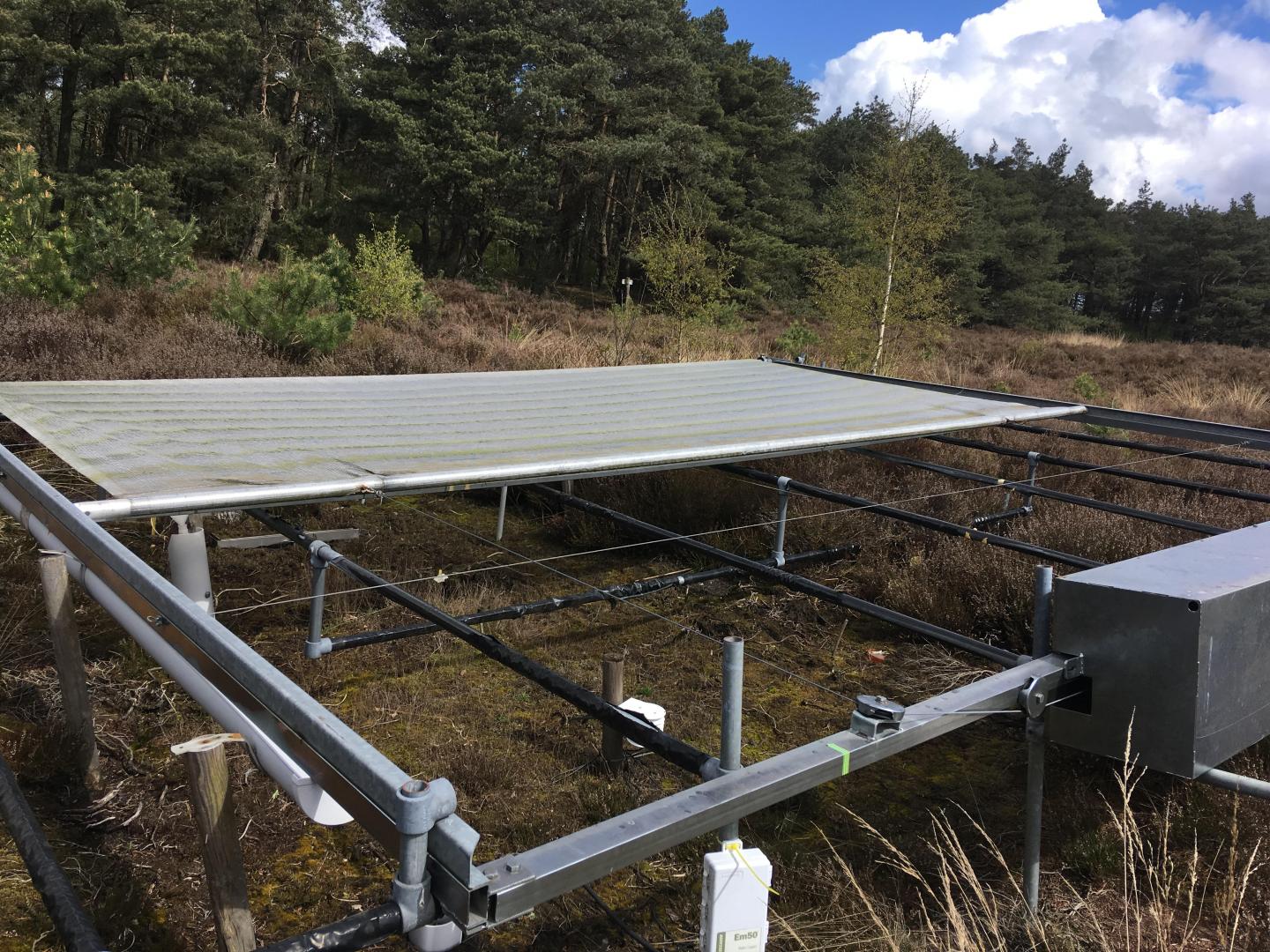 Long-Term Drought Experiment 2