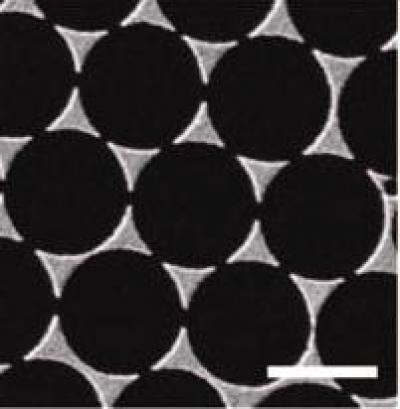 Bowtie Nanoantennas