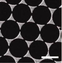 Bowtie Nanoantennas