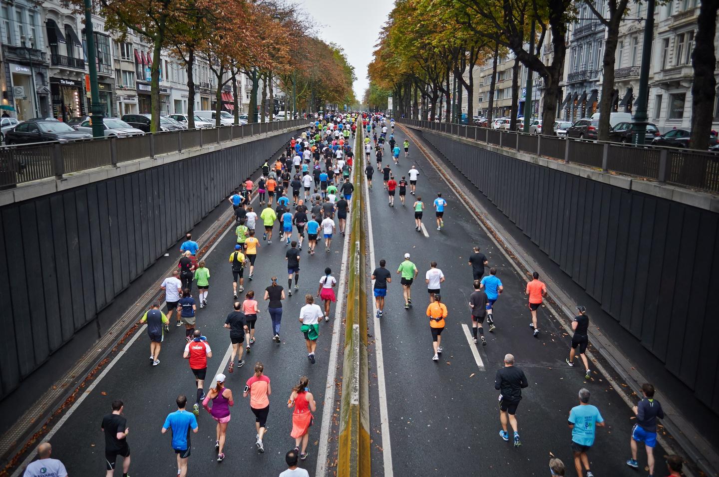 New Computational Model Enables Personalized Simulation of Exercise's Metabolic Effects