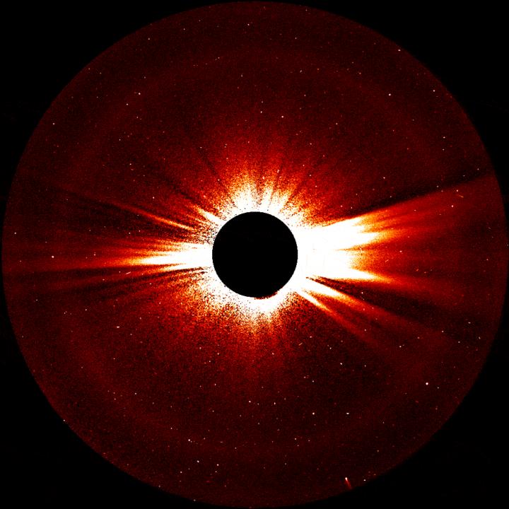 STEREO Observations of Comet 96P (Animation)