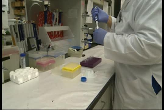 Compound Found in Red Wine Causes Conflicting Changes in Dogs' Immune Systems