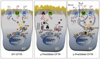 Effect of Thymosin &#945;1 in Cystic Fibrosis