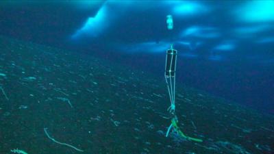 SeaFET pH Sensor Deployed