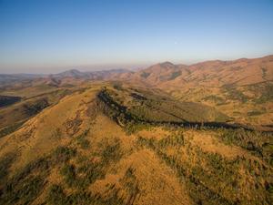 The Nilgiri Hills and timber plantations by Prasenjeet Yadav