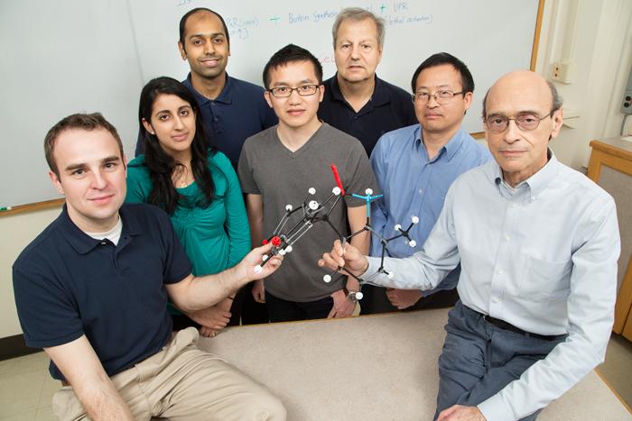 BHPI Research Team