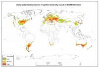 Potential Establishment of Spotted Lanternfly-World