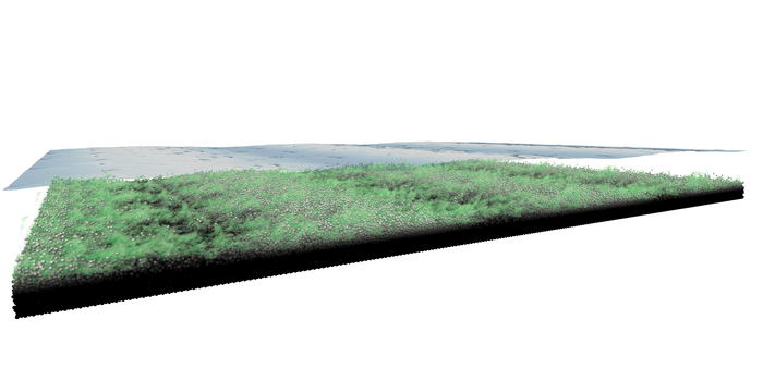 Emergent contamination