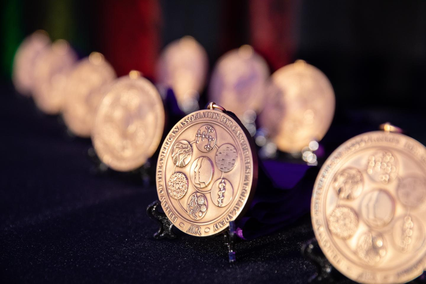 AACR Academy Fellow Medals