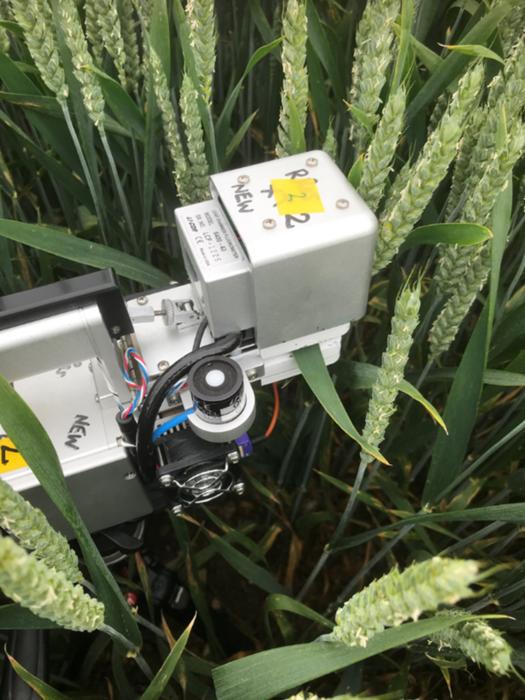 portable IRGA (infra-red gas analyser) for measuring photosynthesis in the field