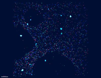 Mapping Neuronal Circuits with FISSEQ