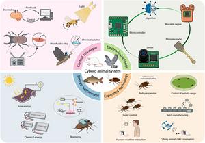 Overview of the cyborg animal system.