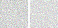 Experiment/Simulation