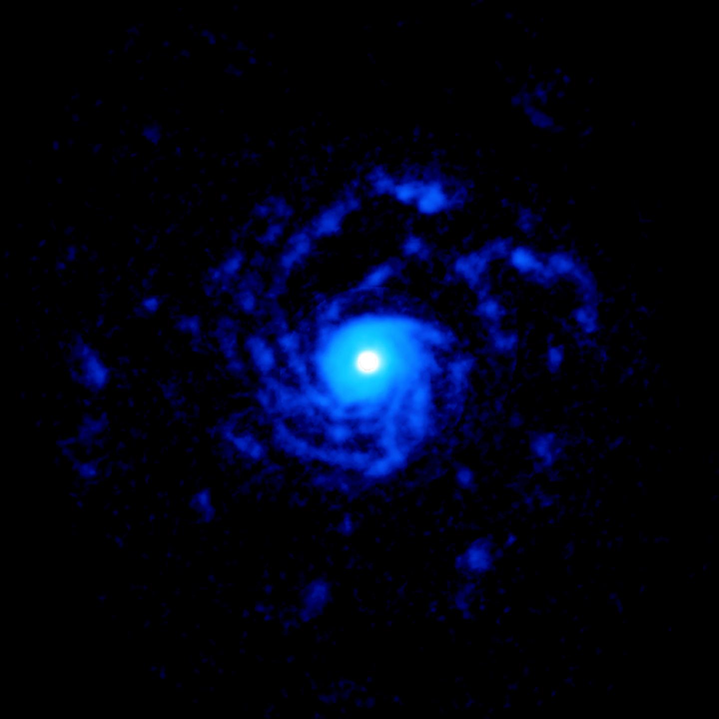 RU Lup Gas Only
