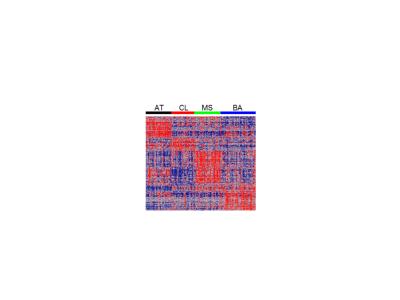 Heatmap