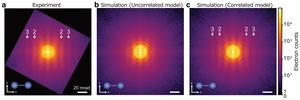 Role of coordinated thermal vibration in atomic-scale interference