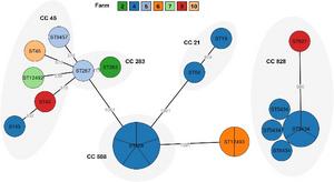 Phylogenetic relationships of C. jejuni and C. coli isolates based on core genome multilocus sequence typing (cgMLST).