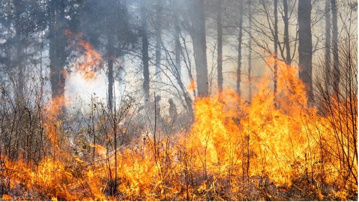 Researchers used the open-source Community Earth System Model to simulate the effects that extreme climatic conditions have on processes like land carbon storage.