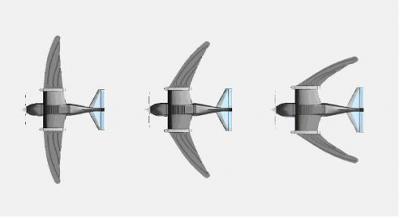 RoboSwift Wing Shapes