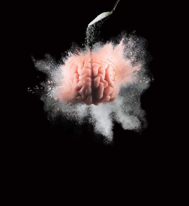 INI Brain