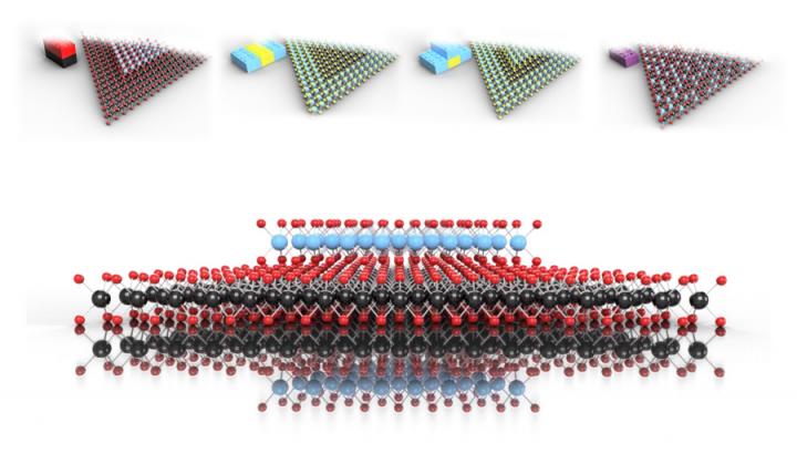 2D MX2 (M=Mo, W; X=S, Se) Heterostructures and Alloys