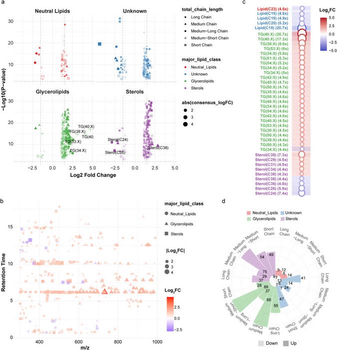 Lipidomic analysis reveals systematic lipid metabolism dysfunction in patients with BCD