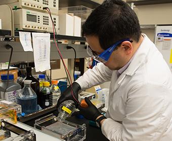 Lab Work