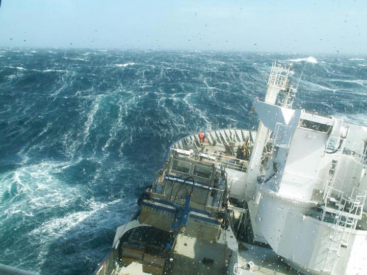 Southern Ocean Carbon Sink