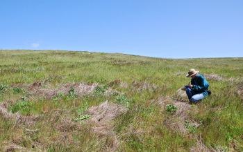 Scientist in Field