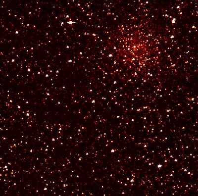 Kepler Star Studies