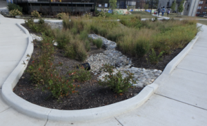 Stormwater management features at the Henrietta Lacks Educational Park in Baltimore, Maryland..