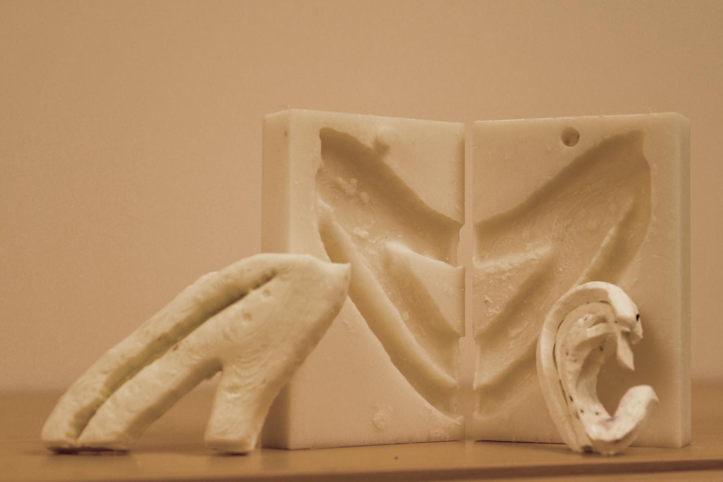 Rib Models and Carved Ear