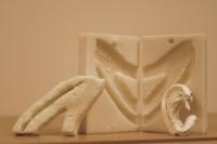 Rib Models and Carved Ear