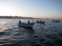 Basurto Coop Fleet