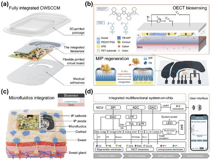 Schematics of CWSCCM for sweat analysis.