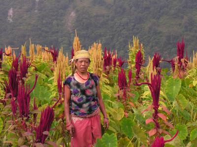 Nepalese Woman in the Annapurna Region of North-central Nepal